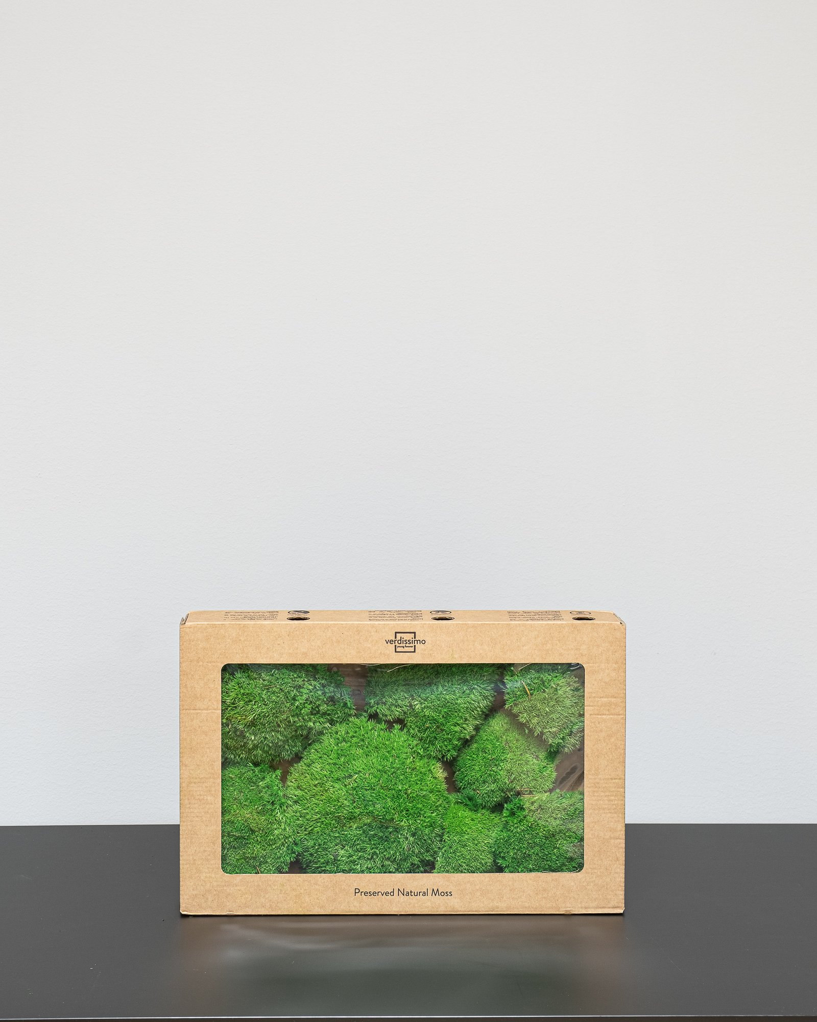 Kugelmoos - Konserviertes Moos 6 Kugelmoos - Konserviertes Moos – Bild 6