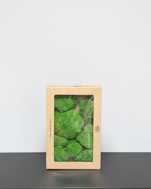 Kugelmoos - Konserviertes Moos 12 Forever Flora De