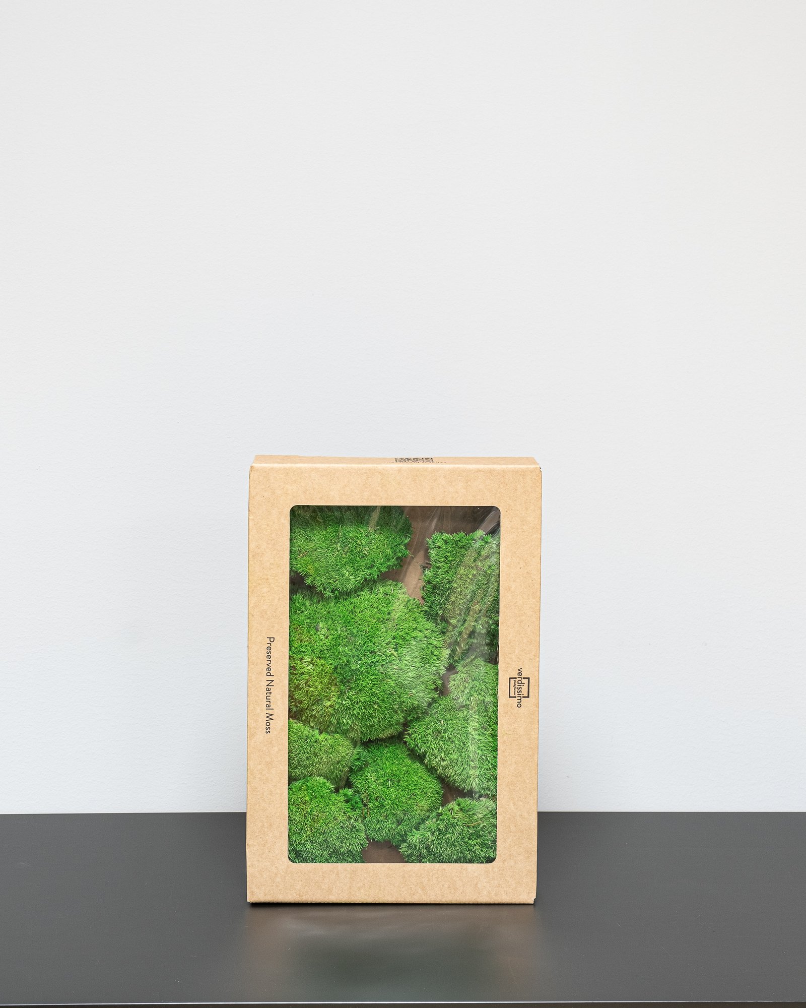 Kugelmoos - Konserviertes Moos 3 Kugelmoos - Konserviertes Moos – Bild 3