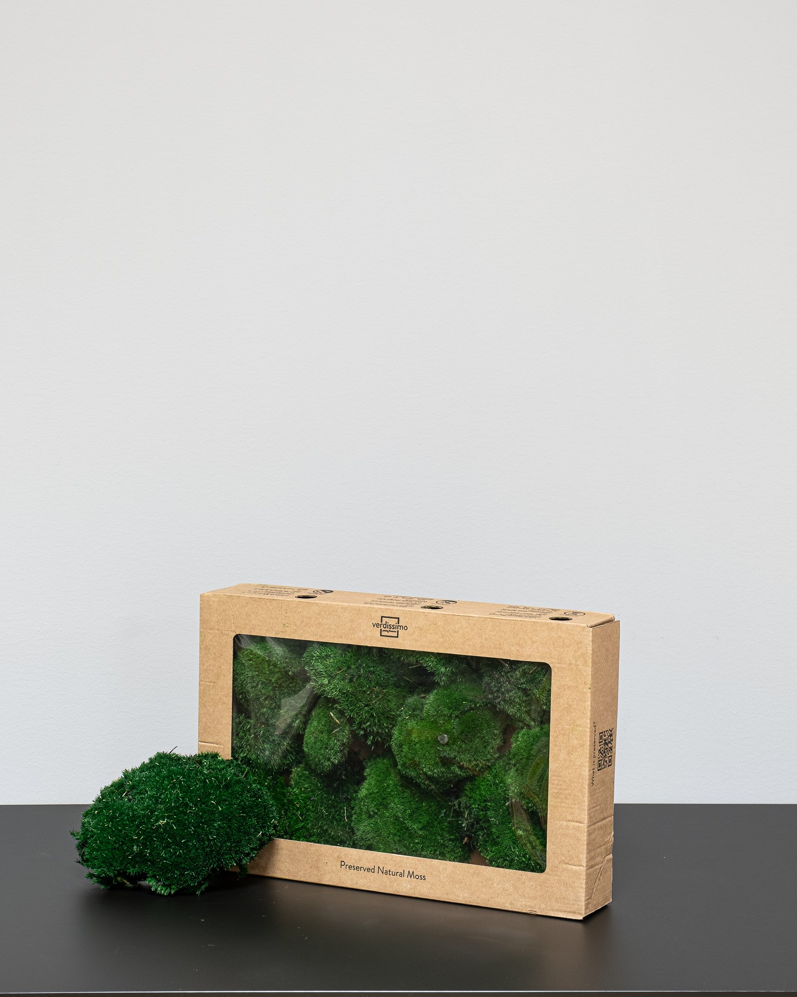 Kugelmoos - Konserviertes Moos 4 Kugelmoos - Konserviertes Moos – Bild 4