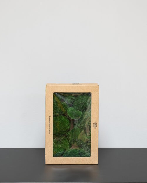 Alternative view of Kugelmoos - Konserviertes Moos