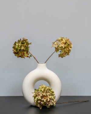 Forever Flora De