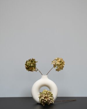 Forever Flora De
