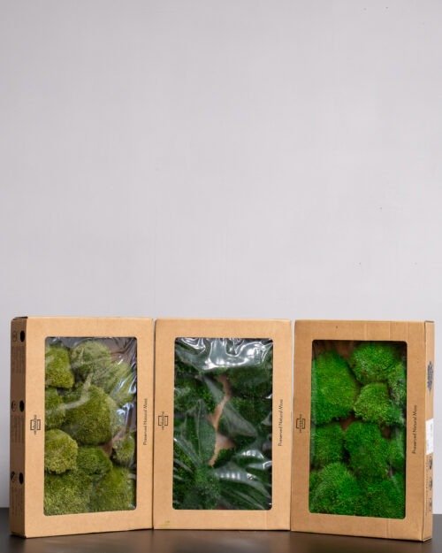 Kugelmoos - Konserviertes Moos 16 Forever Flora De