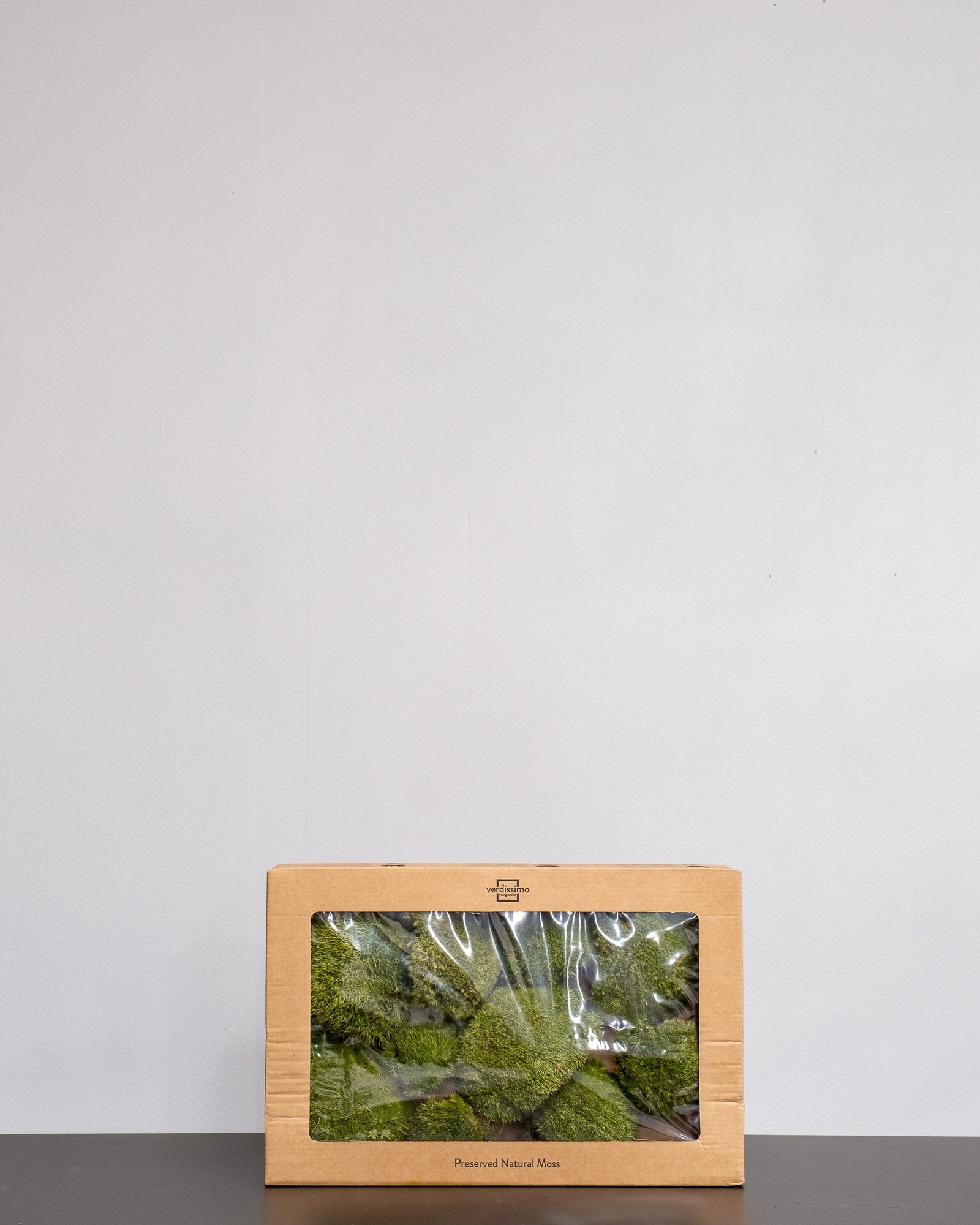 Kugelmoos - Konserviertes Moos 9 Kugelmoos - Konserviertes Moos – Bild 9